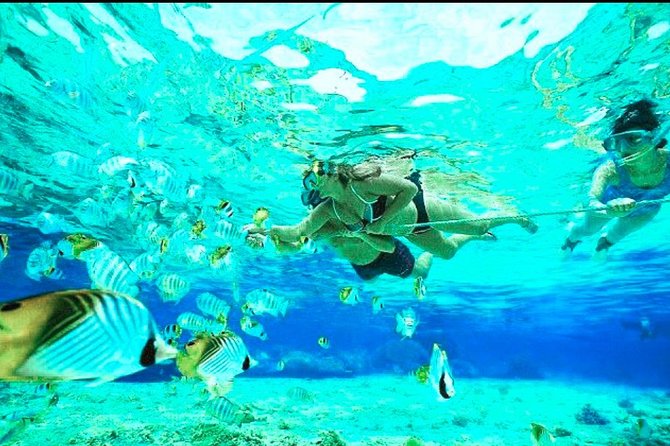 All Inclusive : Bali Blue Lagoon Snorkeling, Lunch, and Transport - Step-by-step: Blue Lagoon Beach then Tanjung Jepun