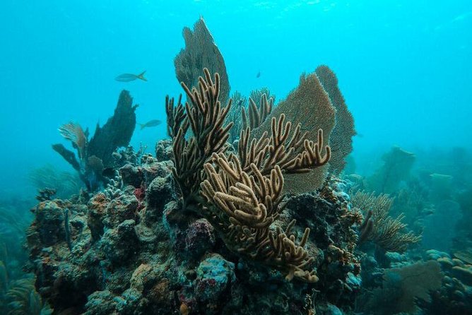 All Inclusive Beach and Snorkel Boat Tour to Icacos Island - Beach time at Icacos: lunch, rum, and relaxing without a schedule meltdown