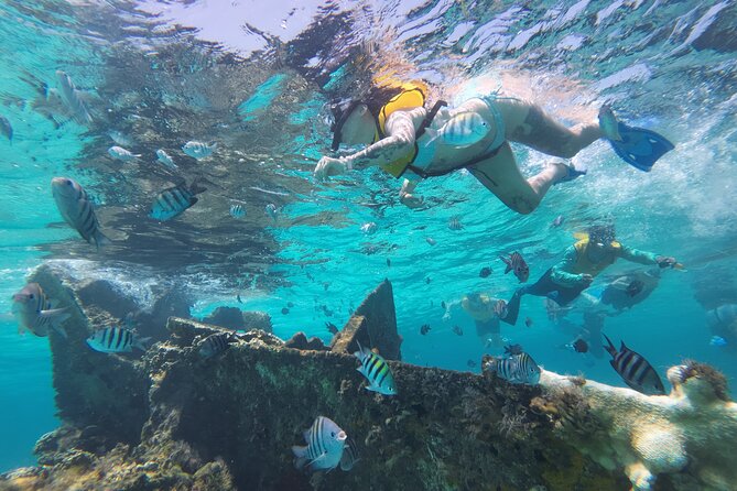 All-Inclusive Isla Mujeres Catamaran with Free Transportation - Blanquizal Sandbar Swim: The Caribbean Looks Like a Postcard