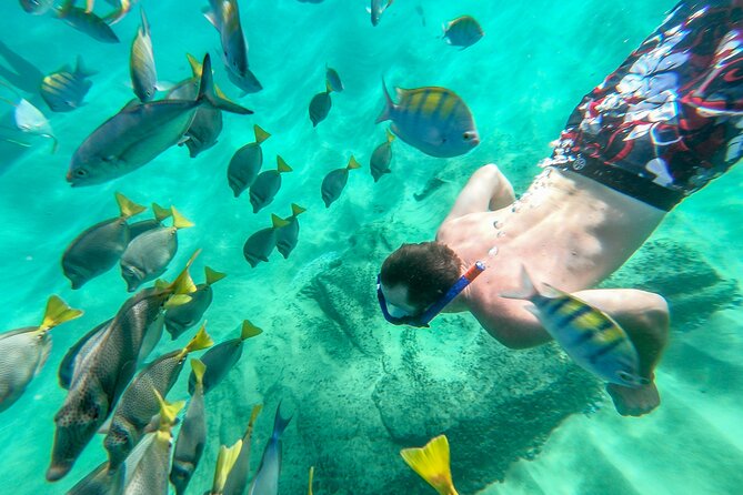 Arch Views & Snorkeling Paradise at Chileno Beach Private tour - Lunch, towels, and the extras you’ll want to budget