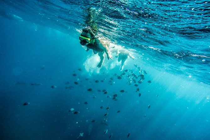 Aruba Afternoon Snorkel Sail aboard Palm Pleasure Catamaran - The boat experience: 70 feet of space and real comfort
