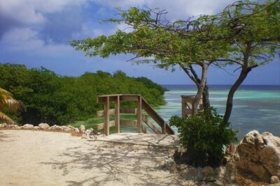 Aruba Mangel Halto and Baby Beach Snorkeling Guided Tour - Second Stop: Baby Beach (Aruba’s Easiest Snorkel Hangout)