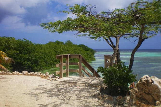 Aruba Mangel Halto and Baby Beach Snorkeling Guided Tour - Second Stop: Baby Beach (Aruba’s Easiest Snorkel Hangout)