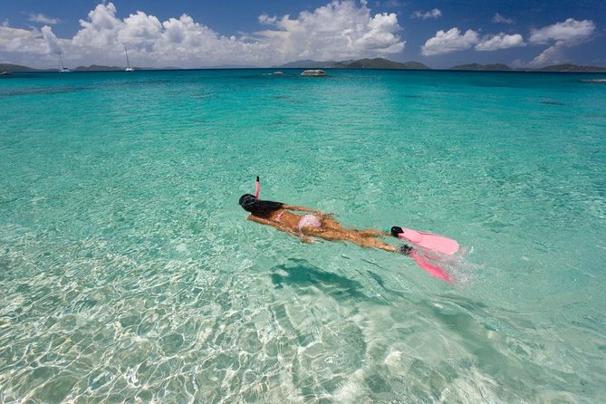 Aruba Morning Snorkel Sail aboard Palm Pleasure Catamaran - Palm Pleasure Catamaran: what makes this Aruba snorkeling feel different