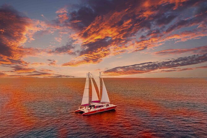 Aruba Morning Snorkeling or Sunset Sail to Boca Catalina With BBQ - Key highlights worth your attention