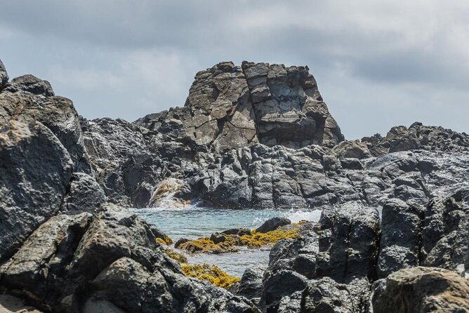 Aruba National Park Tour with Natural Pool & Baby Beach Snorkel - A Half-Day Route That Feels Like Two Trips