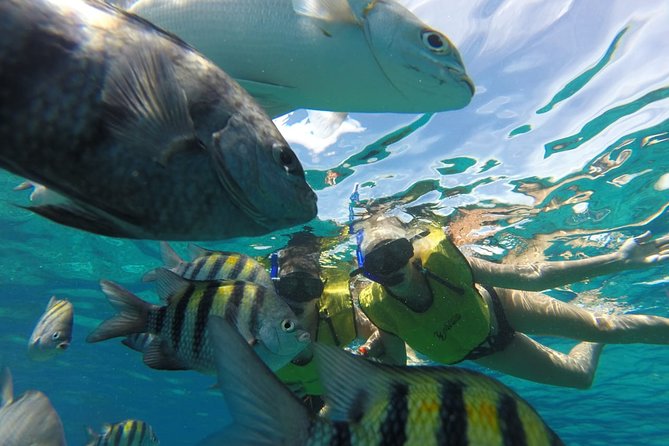 ATV Mud Kicking and Snorkeling by Boat in Cozumel - The guides: personalities you may recognize