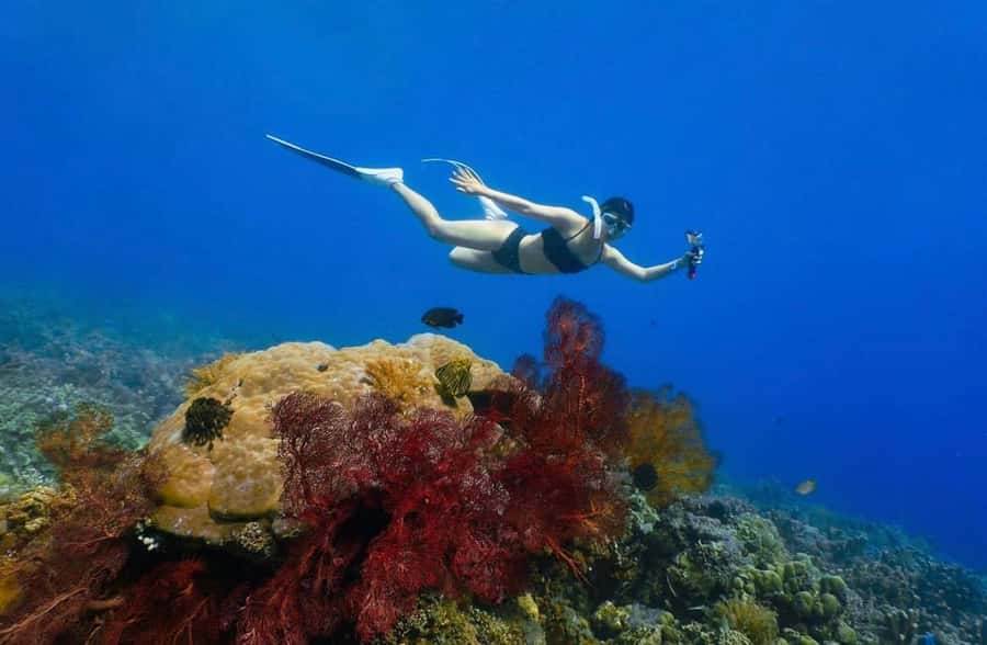 Bali/Amed: Underwater Temple Snorkeling Experience - Morning Logistics: How the Day Flows from Sanur, Ubud, and Beyond