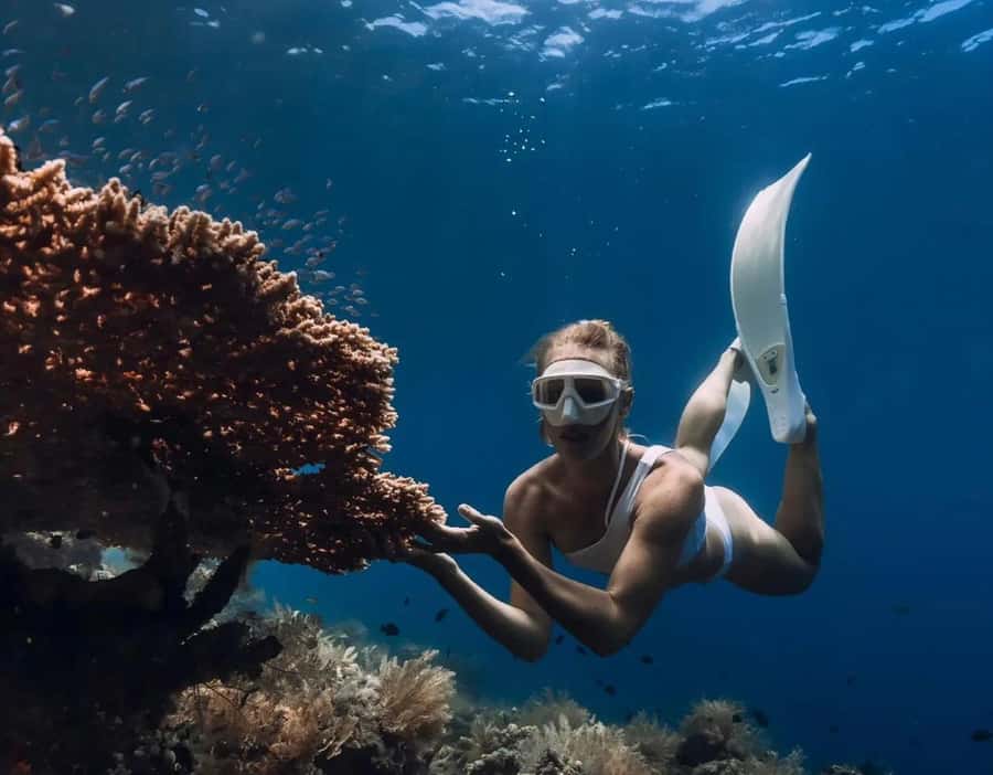 Bali/Amed: Underwater Temple Snorkeling Experience - Underwater Temple: Corals, Stonework, and Respect in Action