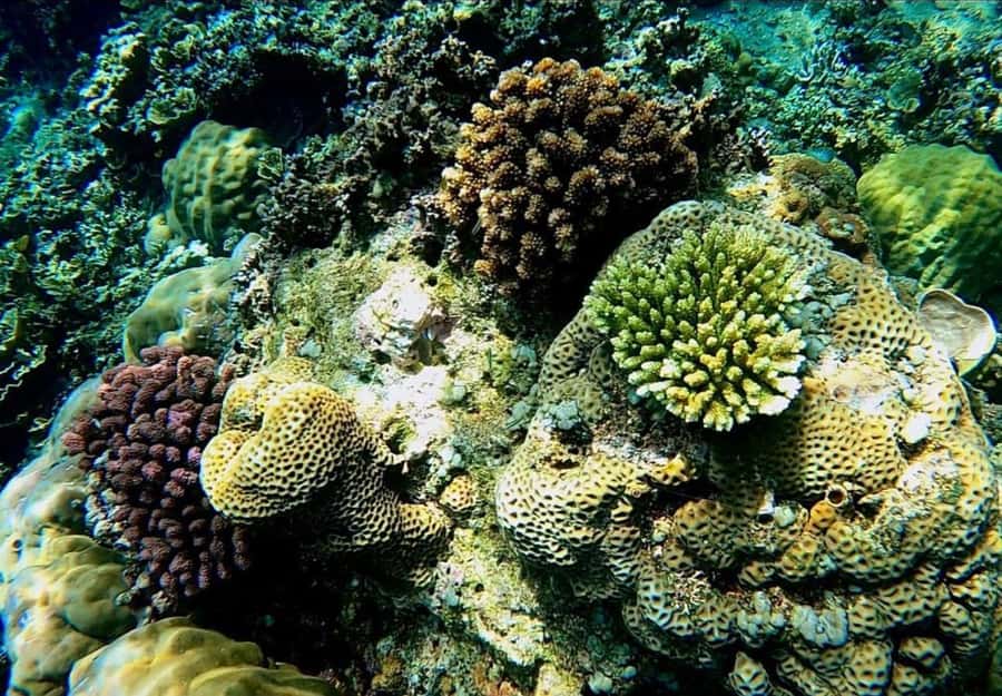Bali/Amed: Underwater Temple Snorkeling Experience - Lipah Bay and Jemeluk Bay: The Route That Keeps Things Interesting
