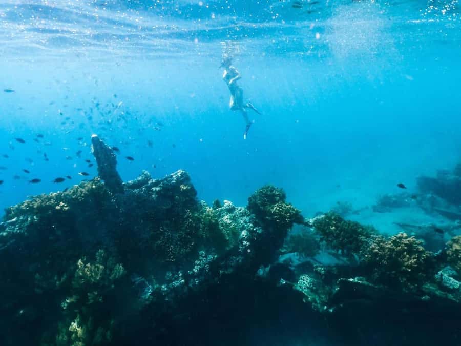 Bali/Amed: Underwater Temple Snorkeling Experience - Price and Value: What $40 Gets You (and When It Doesn’t)