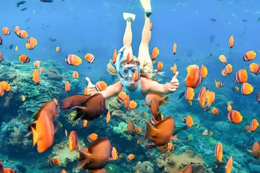 Bali: Blue Lagoon Beach Snorkeling Tour with Lunch - Key things to know before you go
