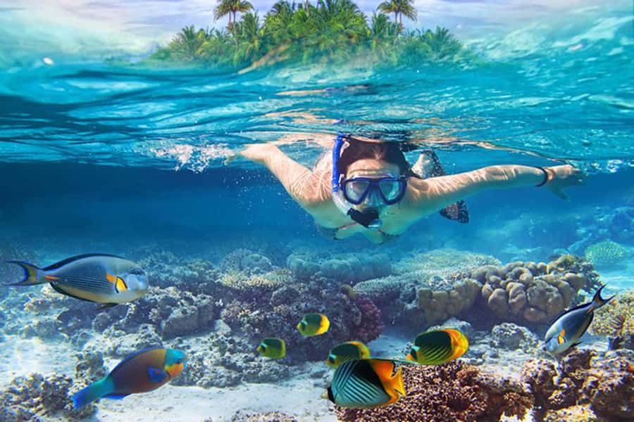 Bali: Blue Lagoon Beach Snorkeling Tour with Lunch - What this Bali day trip is really like