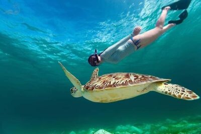 Bali: Blue Lagoon Beach Snorkeling Tour with Lunch - Price and logistics: how $18 turns into real value