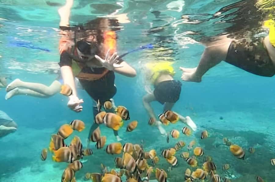 Bali: Blue Lagoon Beach Snorkeling Tour with Lunch - Snorkeling gear, safety support, and guide help