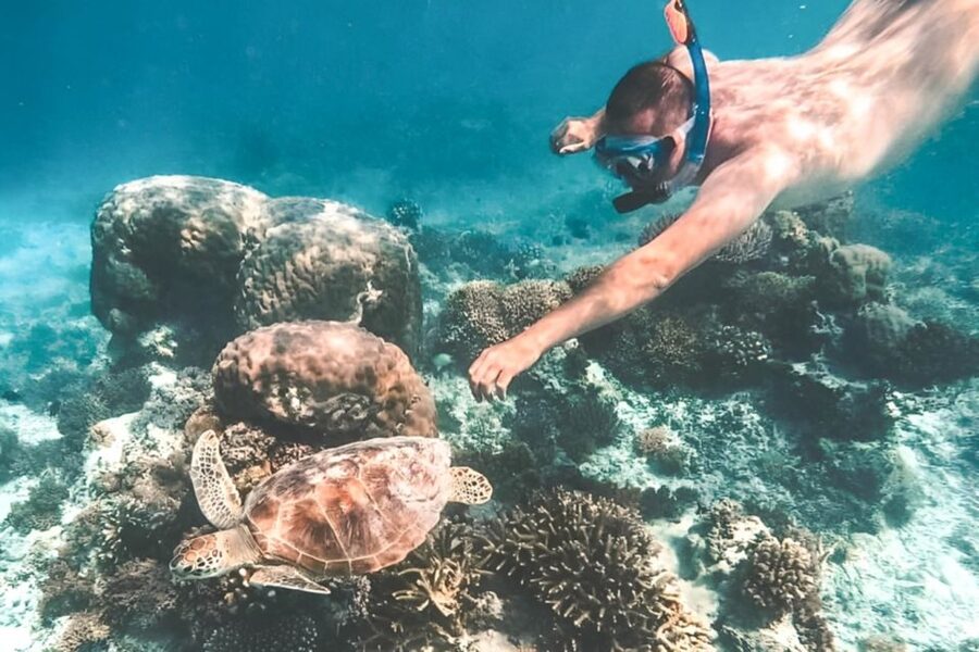 Bali: Blue Lagoon Beach Snorkeling Tour with Lunch - Warung Blue Lagoon lunch: beachside, set menu, and food that fills you up