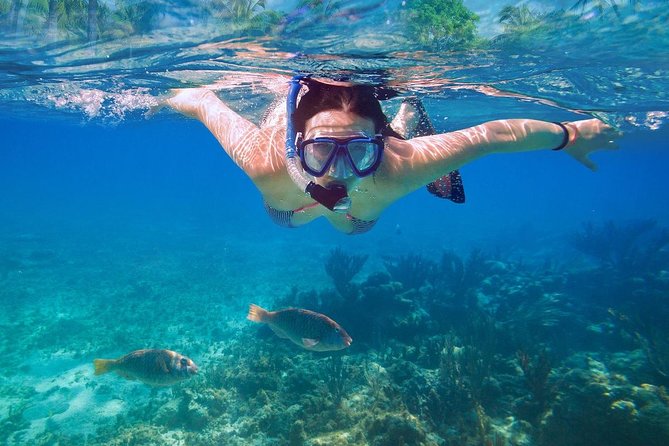 Bali Blue Lagoon Snorkeling Experience - Price in Context: Is $49.09 a Good Deal?