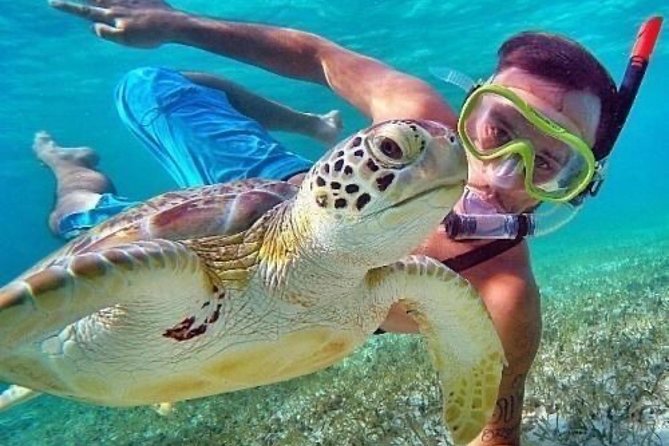 Bali Blue Lagoon Snorkeling - Lunch and Transport All Inclusive - How Lempuyang Temple and Blue Lagoon make sense in one route