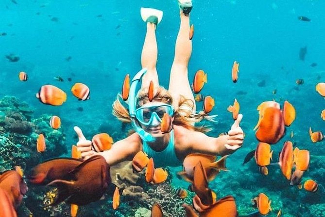 Bali Blue Lagoon Snorkeling - Lunch and Transport All Inclusive - Blue Lagoon Beach snorkeling: what you get from the water time