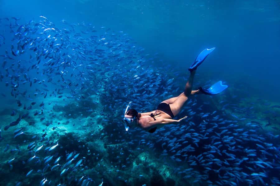 Bali: Blue Lagoon Snorkeling & Waterfall Tour with Lunch - Your Snorkeling Guides: What “Good” Looks Like on the Day