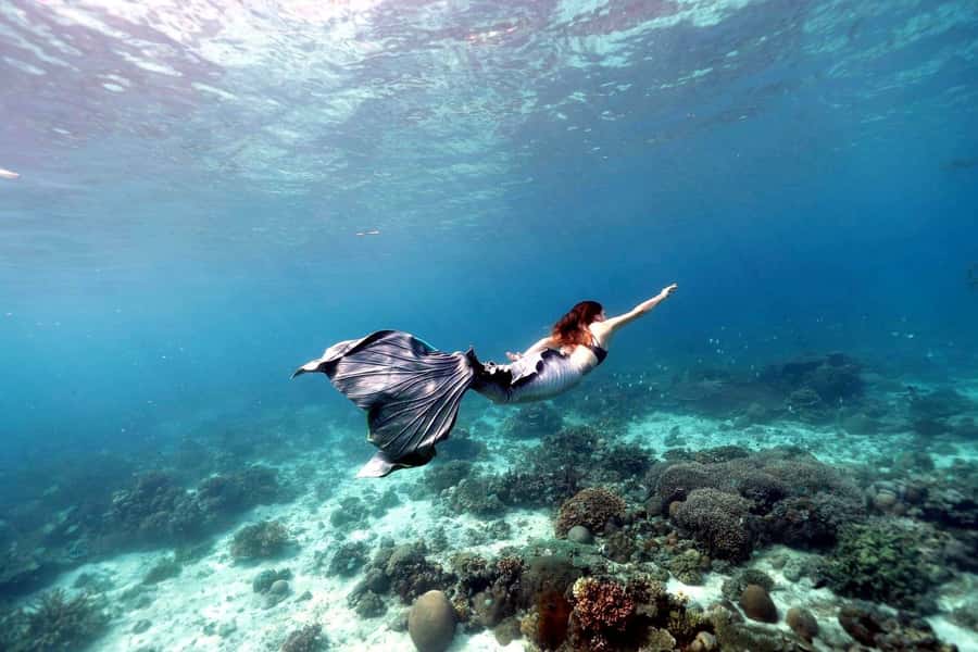 Bali: Blue Lagoon Snorkeling & Waterfall Tour with Lunch - Lunch Back in Padang Bai: Why the Timing Feels Right