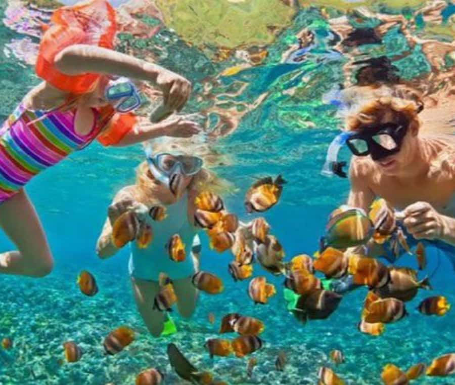 Bali: Blue Lagoon Snorkeling & Waterfall Tour with Lunch - Getting There: Pickup Options and the Real Bali Time Budget