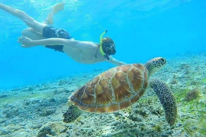 Bali Blue Lagoon Snorkeling with Private Transfer & Lunch - Traditional Indonesian lunch, showers, and changing-room reset