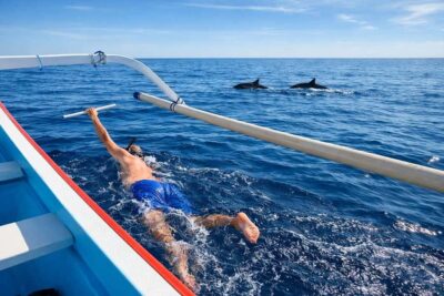 Bali/Lovina: Guided Dolphin Watching & Sunrise Boat Snorkel - Respectful dolphin watching from a standard distance