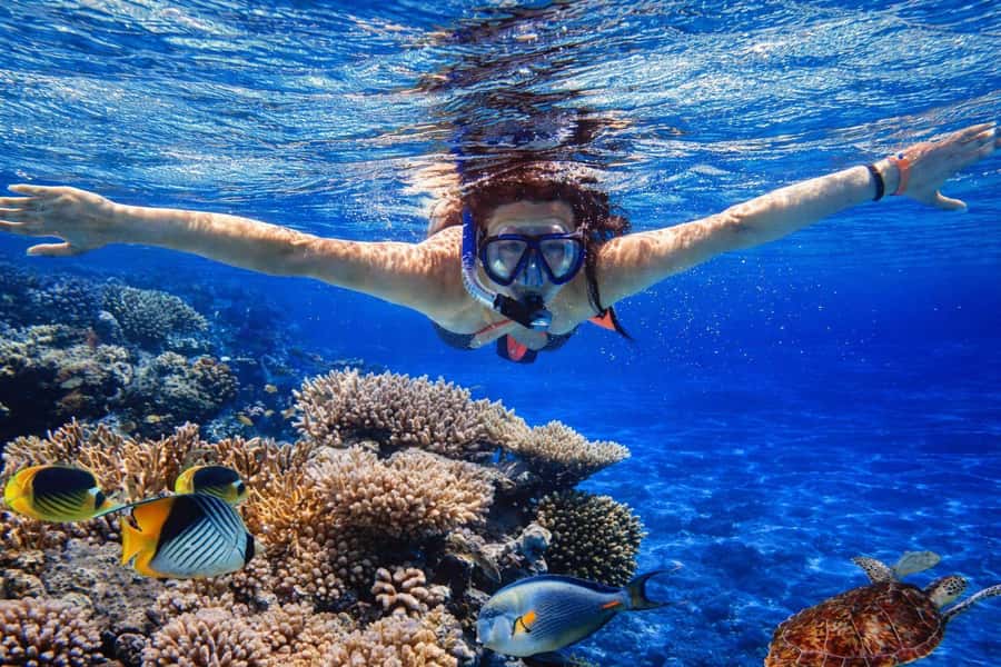 Bali/Lovina: Guided Dolphin Watching & Sunrise Boat Snorkel - Snorkeling after dolphins: coral reef gear and timing