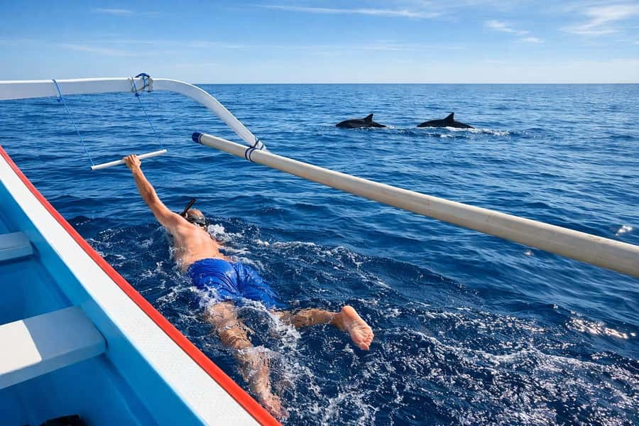 Bali/Lovina: Guided Dolphin Watching & Sunrise Boat Snorkel - Respectful dolphin watching from a standard distance