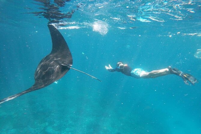 Bali Nusa Penida and Private Snorkeling (Manta Bay, Gamat, Wall) - Quick Key Points to Know Before You Go