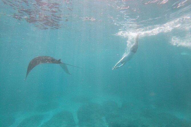 Bali Nusa Penida and Private Snorkeling (Manta Bay, Gamat, Wall) - Why This Nusa Penida Snorkeling Tour Starts at 6:30 am