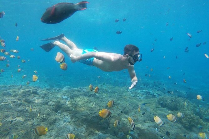 Bali Nusa Penida and Private Snorkeling (Manta Bay, Gamat, Wall) - Land Stops That Actually Matter: Kelingking, Angel’s Billabong, Pasih Uug