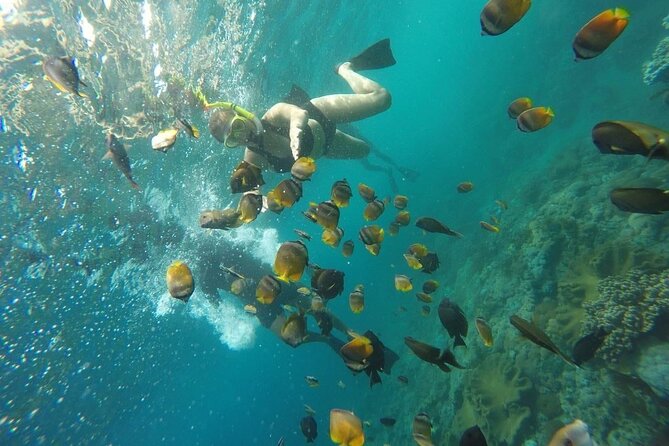 Bali Nusa Penida and Private Snorkeling (Manta Bay, Gamat, Wall) - The Snorkeling Route: Manta Bay, Gamat Bay, and Wall