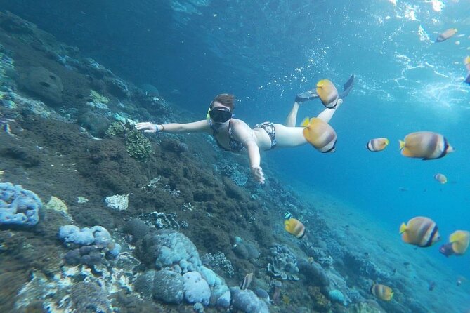 Bali Nusa Penida and Private Snorkeling (Manta Bay, Gamat, Wall) - What a Private Boat Day Feels Like (and Why It Helps Your Snorkeling)