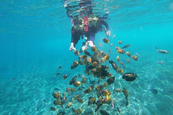 Bali Nusa Penida and Private Snorkeling (Manta Bay, Gamat, Wall) - Conditions to Watch: Rough Water, Jellyfish, and Current
