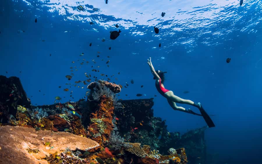 Bali/Nusa Penida: Manta Point Snorkel Boat & West Coast Tour - Key highlights that make this one worth it