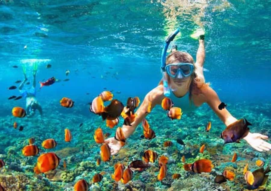 Bali/Nusa Penida: Manta Point Snorkel Boat & West Coast Tour - Price and what $29 really covers