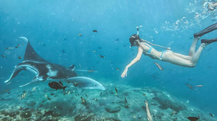 Bali/Nusa Penida: Manta Point Snorkeling & West Coast Tour - Gamat Bay and The Wall: extra water time when conditions allow