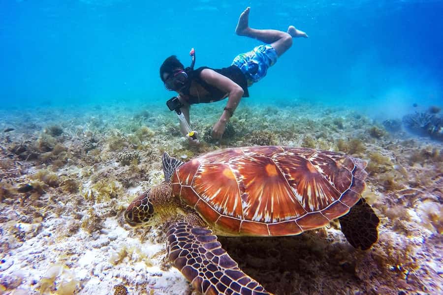 Bali: Nusa Penida Speedboat Trip with Snorkeling and Tour - Key things that make this tour worth your time