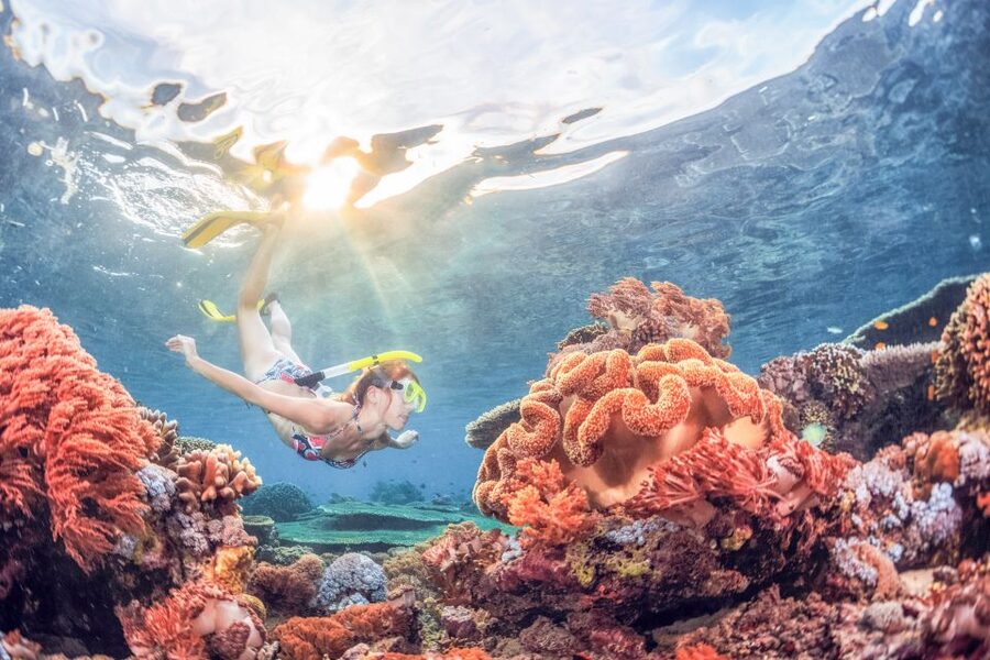 Bali: Padangbai Blue Lagoon Snorkeling Day Trip - Safety and guidance: why the small group matters so much