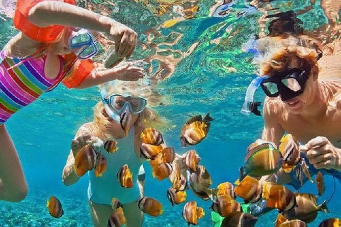 Bali Snorkeling at Blue Lagoon with Transport and Lunch - Quick hits before you go