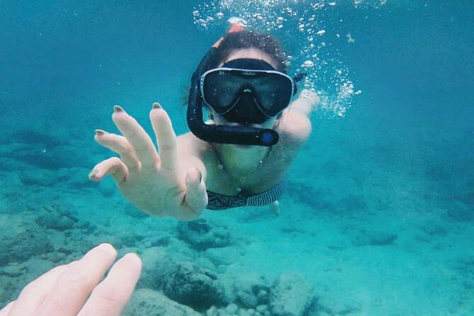 Bali Snorkeling at Blue Lagoon with Transport and Lunch - Guides and crew: the difference between okay and great