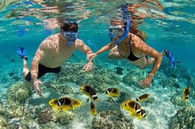 Bali Snorkeling at Blue Lagoon with Transport and Lunch - Blue Lagoon and Tanjung Jepun: how the snorkeling is paced