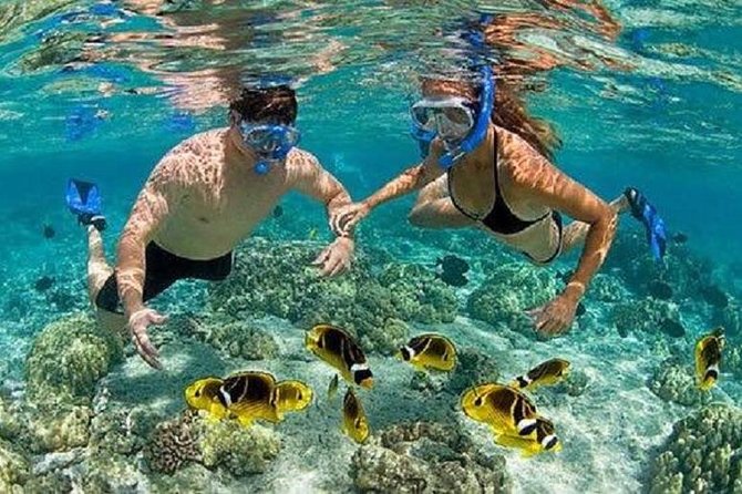 Bali Snorkeling at Blue Lagoon with Transport and Lunch - Blue Lagoon and Tanjung Jepun: how the snorkeling is paced