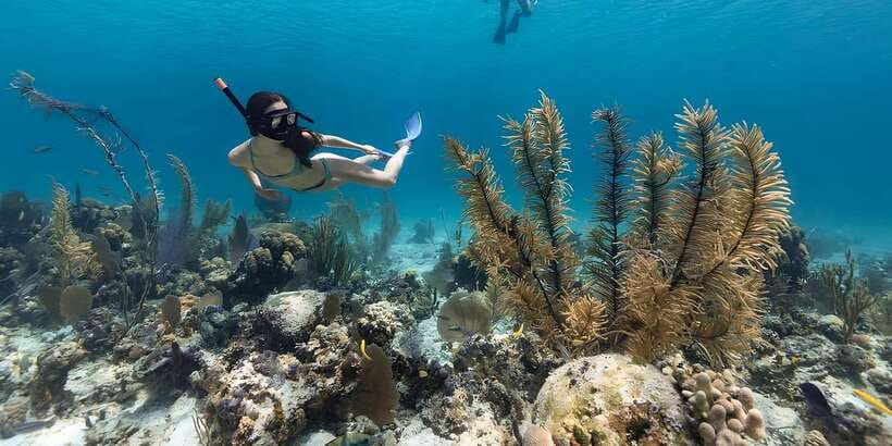 Bali: Snorkeling on 2 spots with Lunch and Transport - FAQ