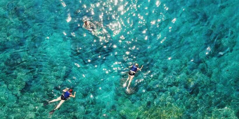 Bali: Snorkeling on 2 spots with Lunch and Transport - Blue Lagoon: colorful fish, coral, and the tradeoff of boat traffic