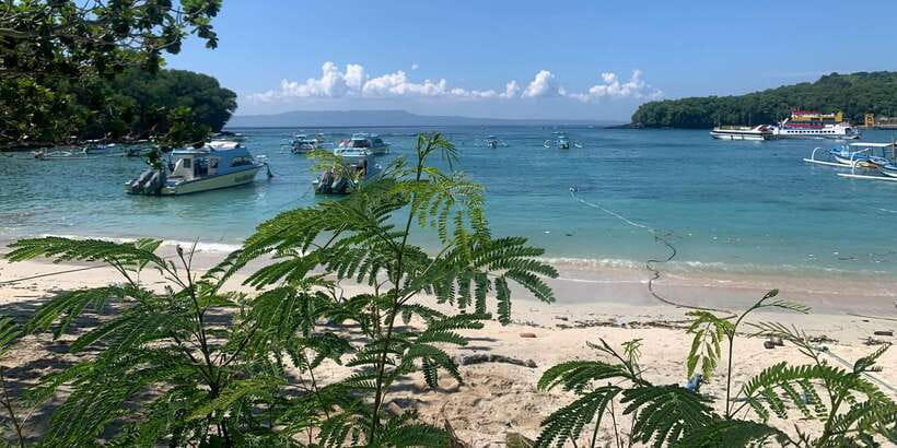 Bali: Snorkeling on 2 spots with Lunch and Transport - The 3-hour rhythm: pickup timing, transport comfort, and what you actually do