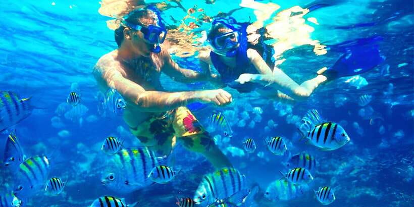 Bali: Snorkeling on 2 spots with Lunch and Transport - Lunch included: what you’ll eat and how it fits after snorkeling