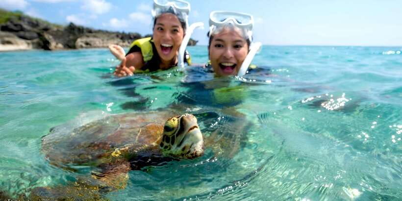 Bali: Snorkeling on 2 spots with Lunch and Transport - Equipment, guides, and safety: how the tour keeps it beginner-friendly